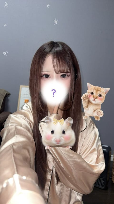 おはメルトっ☀️
日差しがあったかくて
おはようできましたｯ❗️✨
きょーもごーごからしゅっしましゅ❣️🐱
会いできたお
