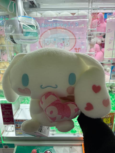 ももはイゴールラブのみりにゃとシナモンが好きなんだけどコラボしてたから取りに行ってきたよ！
クレーンゲーム得意な人いる？