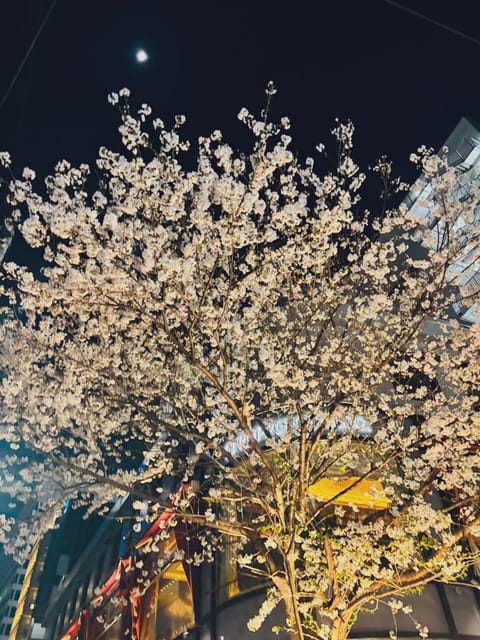 花粉落ち着いたかも！？！？😆✨

今週のシフトです☺️

4/8(火) 12-17:30

4/11(金) 12-19: