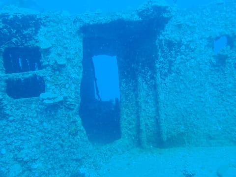 沈没船にロマン感じる人は同士⚓️🤝

沈没船も好き、海の生き物も好き、地形も好き、海が好き🏝️

もっともっと色んなとこ