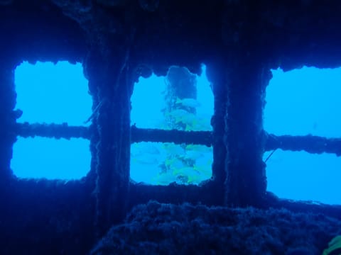 沈没船にロマン感じる人は同士⚓️🤝

沈没船も好き、海の生き物も好き、地形も好き、海が好き🏝️

もっともっと色んなとこ