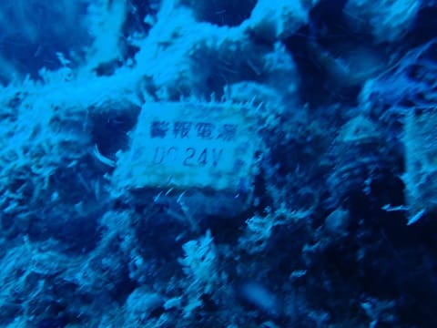 沈没船にロマン感じる人は同士⚓️🤝

沈没船も好き、海の生き物も好き、地形も好き、海が好き🏝️

もっともっと色んなとこ