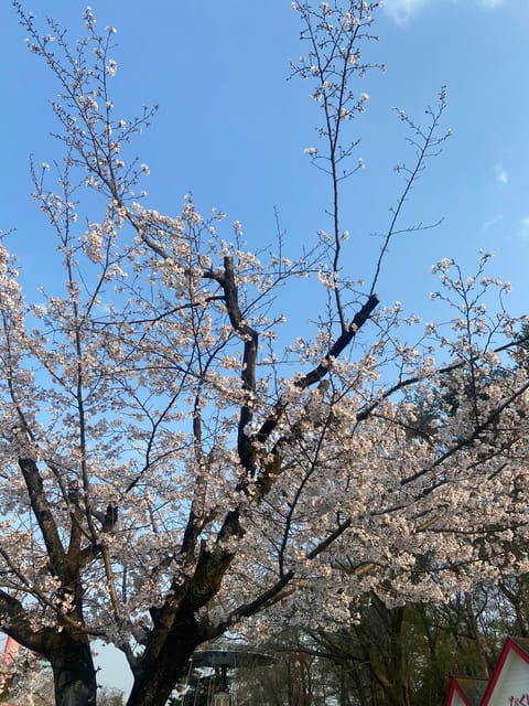 今週のシフト𓂃🫧

3/30(月)
16:00〜22:00

4/3(金)
16:00〜22:00

4/4(土)
11
