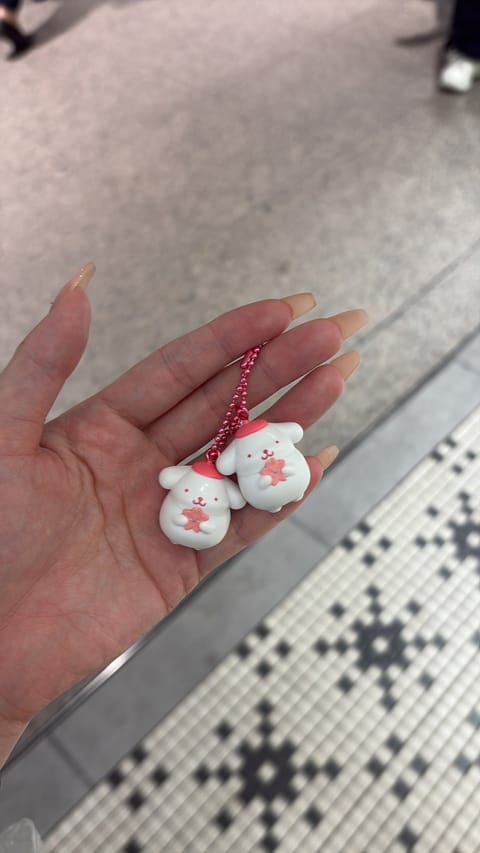 かわちぃ🫶
ほんとはクロミが欲しかった-  ( ˶'ᵕ'˶) -