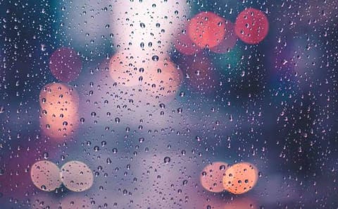 雨の中お越しくださり本当にありがとうございました🥺❤︎❤︎

会えてとってもとっても
嬉しかったです❤︎
お土産までいた