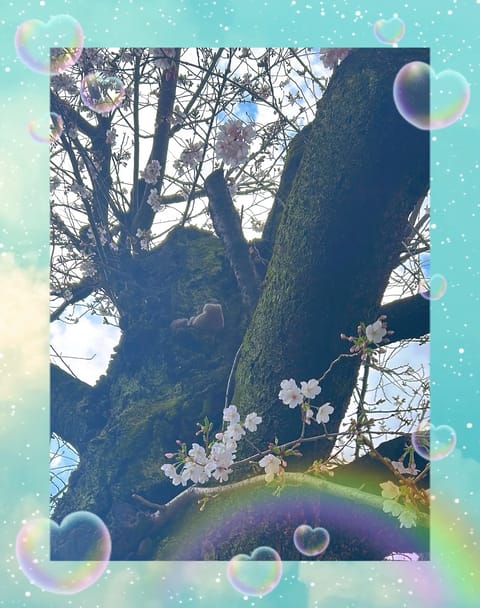 退勤しました🙂‍↕️

今日も☆☆お問い合わせ☆☆
♡♡ご予約ありがとうございます♡♡ 
    
    今日は暖かく