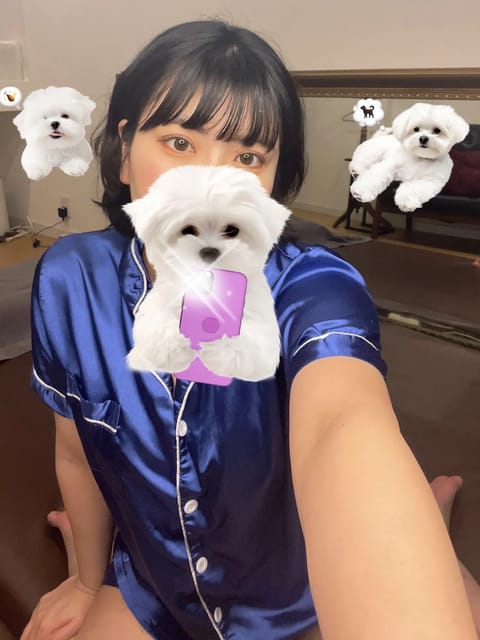 本日23:30まで🐝🍯