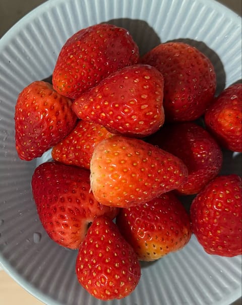 いちごだーいすき🍓

最近はスーパーにすいかも出てきて幸せ🍉