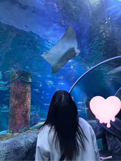 この間水族館行ったんだよね🐟