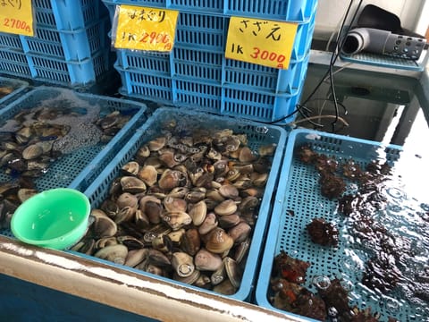 おはようございます⭐️
ケイです。

ゴールデンウィークはいかがお過ごしですか。
私は早めにお休みをいただき
千葉の方へ