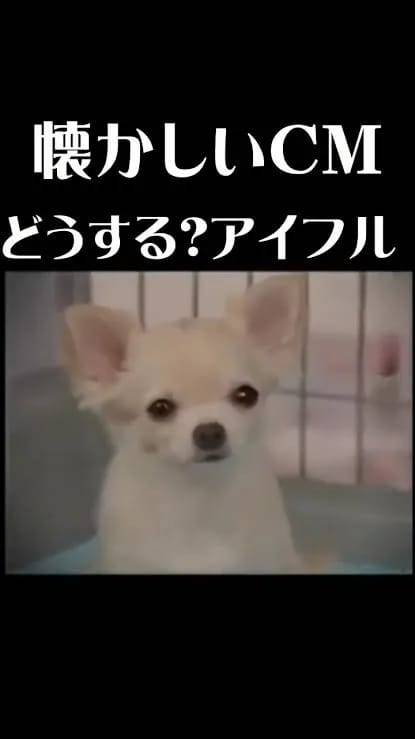 我が家の下の階が浸水したらしく、管理会社から連絡が来たものの…ルームシェアの子含めて8/9から自宅に帰っておらず🥺ちーん