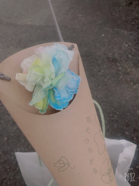 つぎの出勤決まったらまたツイートします🧸🤎

レインボーカーネーション可愛くないですか❔( ˙꒳​˙  )