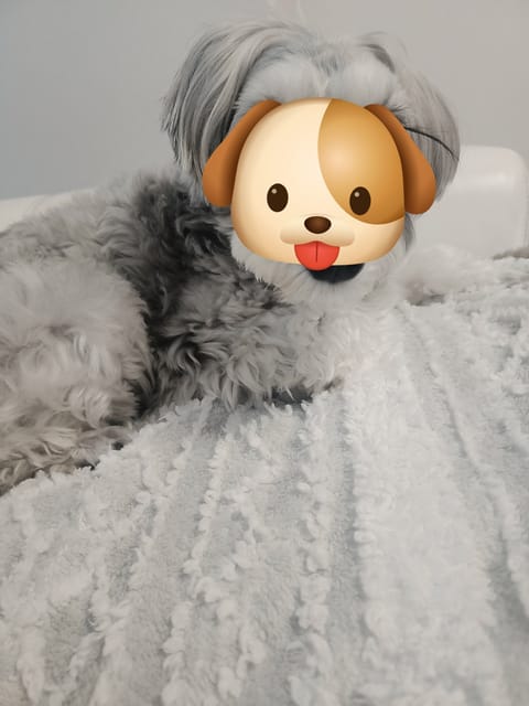 おはようございます☺️
また寒さ戻りましたね😣寒暖差あるのでみなさま体調気をつけましょうね〜😊

Oさま ご予約延長あり