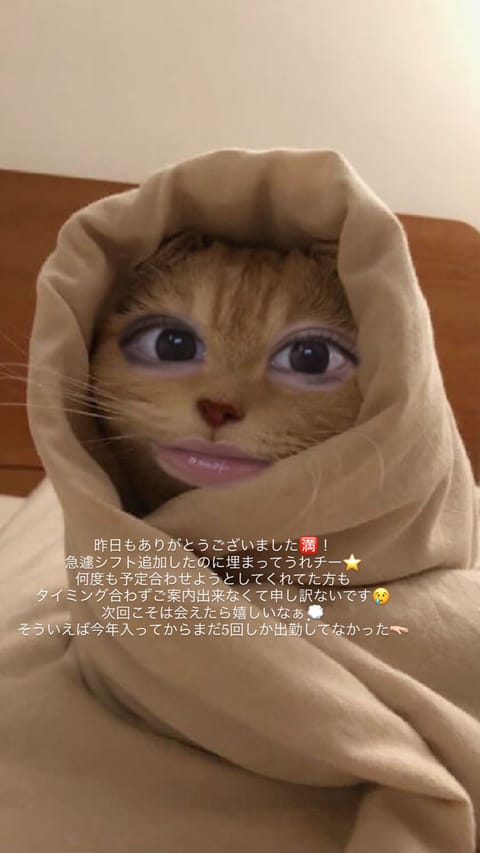 そんなつもりないけど私ってオラついてるらしい、したたかで品のある女性を目指します👩🏻‍🍼