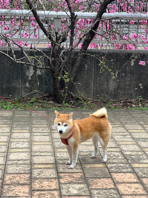 先週もリピ様、初めまして様ありがとう😊
お久しぶりのリピ様達にも会えてうれしかった、忘れてないでいてくれて感謝です🙏
☘
