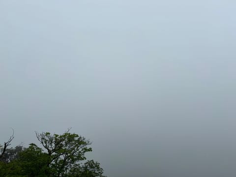 山頂ガスってて何も見えなかった🤣w