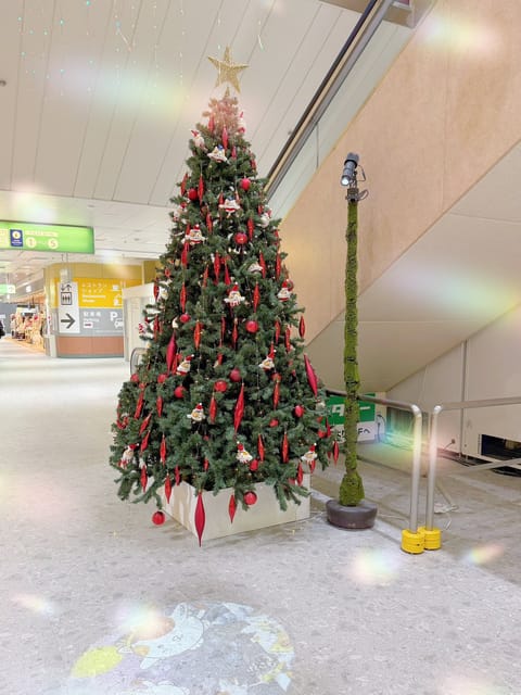 本日初出勤✨️
さっそくご予約いただきありがとうございます💖

水天宮駅にあるT-CATもXmas🎄✨️🎅
仕様になって