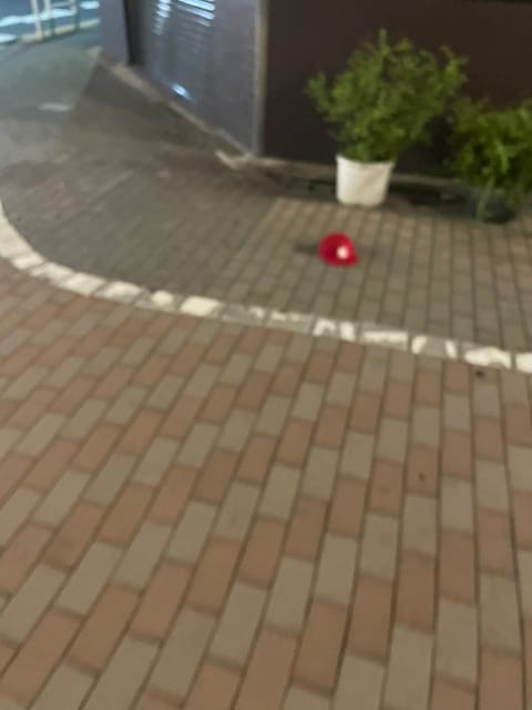 池袋に野生のニューエラが…！