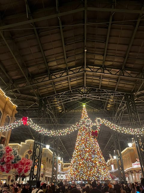 こんばんは！
またまた1人でディズニー行ってきました🤣今月2回目🎄

今日は19時半以降からお問い合わせお待ちしてます✨