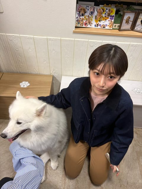 GW中、大型犬カフェ行ったんだけどスタッフからワンちゃんと目を合わせないでくださいって言われたから合わせないように近づい