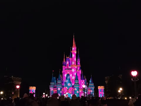 おはようございます☀️はなです🌷

昨日弾丸Disney行ってきました🏰🤍
ミニーちゃんのイベントがやってて
、シンデレ
