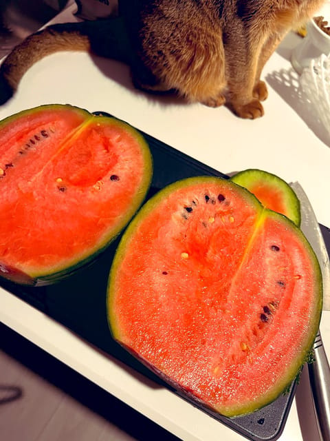 かなりいいと思う✨