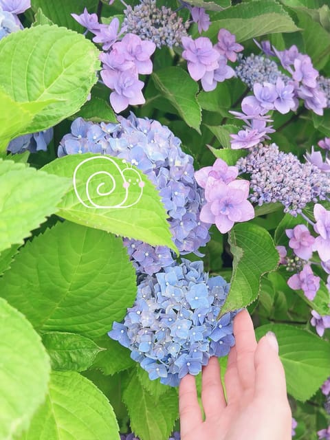 5月もたくさんのご予約ありがとうございました( ⸝⸝•ᴗ•⸝⸝ )🤍

6月は雨が多い季節でメンタルや体調に出やすい方も