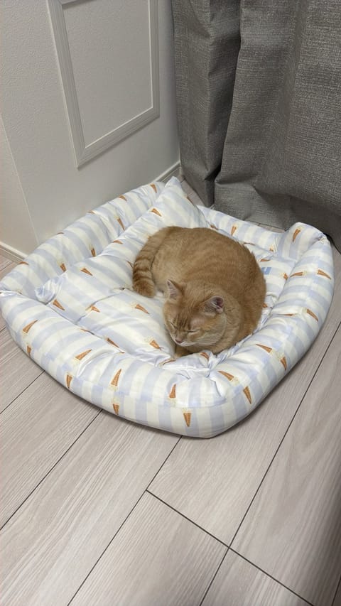 本日も21-5成増出勤してます😊
今月も今日で終わっちゃうなんて早すぎますね🥵🥹

5月最後私で癒されに来ませんか？😉