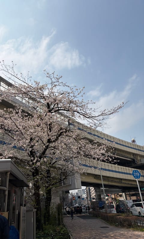 桜とっても綺麗🌸

今週もよろしくお願いします♡