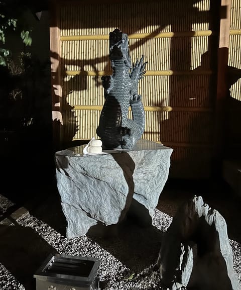 おはようございます🟡

       新年を迎えた1月2日❄️

初詣は田無神社に行ってきました🐉

有名なパワースポッ