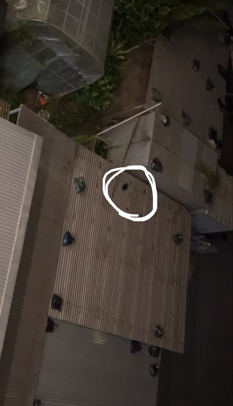 いましがた、お気に入りの帽子飛ばされちゃって萎え萎え😭回収できないかな、、