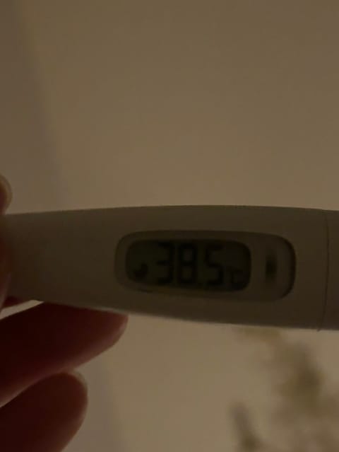 ぐええ、まじかあ😭
めっちゃ寒くて熱測ったら🥹
明日の出勤でしばらくお休み予定だったのに😭😭
ご予約下さっているお客様申