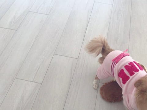 今日はいつもより長くわんちゃんのお散歩して、出勤の準備します♬
15時〜22時五反田ルーム💎
りのあに会いにきてね