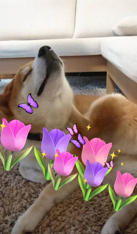 🥰こんばんは。
中野roomにいます。
是非いらしてください✨