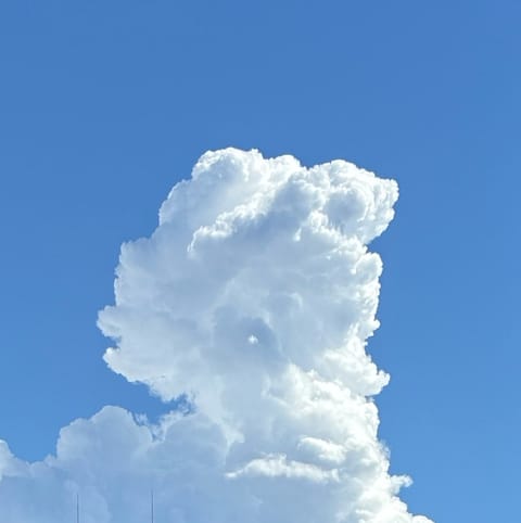 空、超きれいだった…！！（昨日）