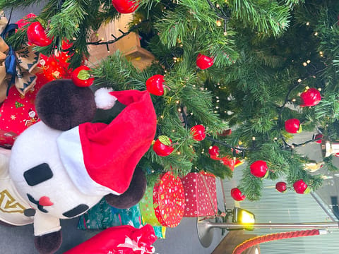 こんばんはー！
お久しぶりの丸山です🫡
街はクリスマスムード🎅でなんかウキウキしますねー✨

明日は丸山久しぶりの出勤で