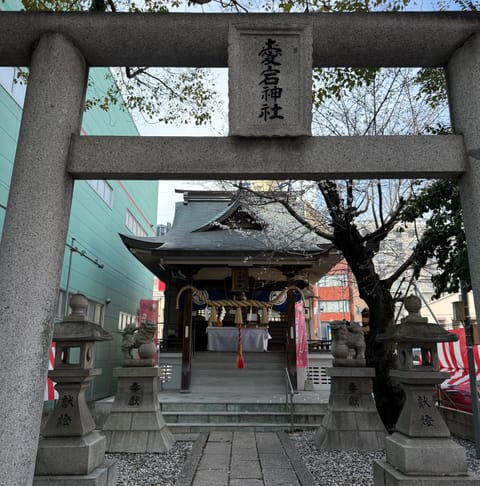 カープの必勝祈願で有名な愛宕神社の桜もかわいく咲き始めました🌸

#愛宕神社　#Carp　#カープ　#ゆりかご広島