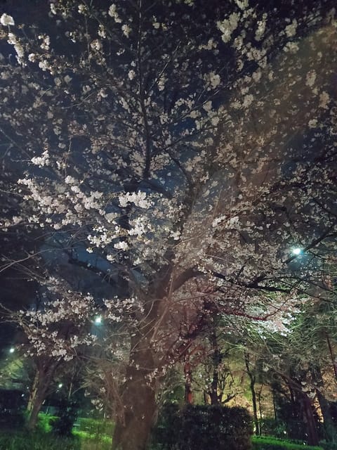 こんにちは☔
今日は雨だし風が強いでみなさまお足元お気をつけくださいね😣

Tさま、昨日はスタートからのご予約ありがとう