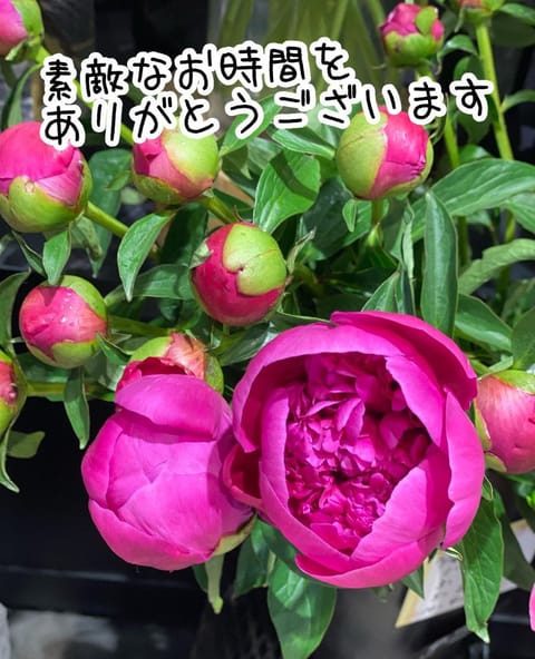 4日(水) 本指名様
夜分に足を運んで下さり
ありがとうございます😊

とてもお疲れでしたね
そんな中、お立ち寄り頂けて