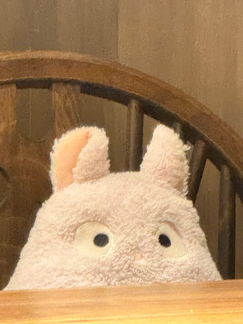 最近のねむは金髪です✌️
HPより明るい髪色です。すいません。

この間のジブリカフェの
可愛い写真載っけときます。