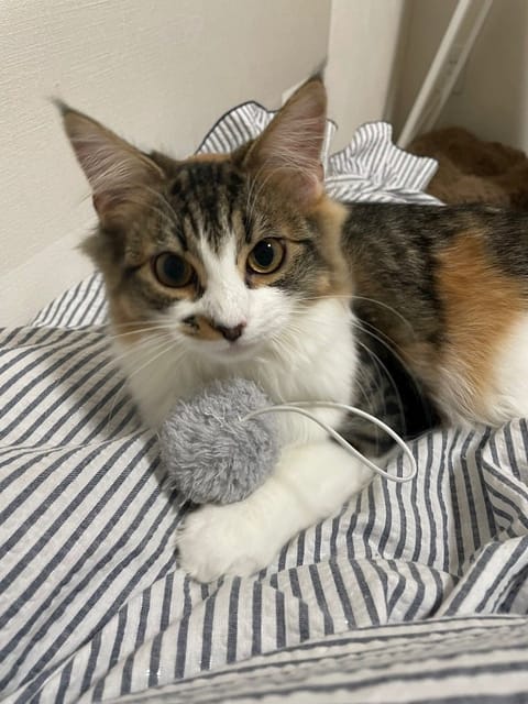 今日・27日(火)
お休みいただいてます

お礼ツイート、また載せます

あやの❤