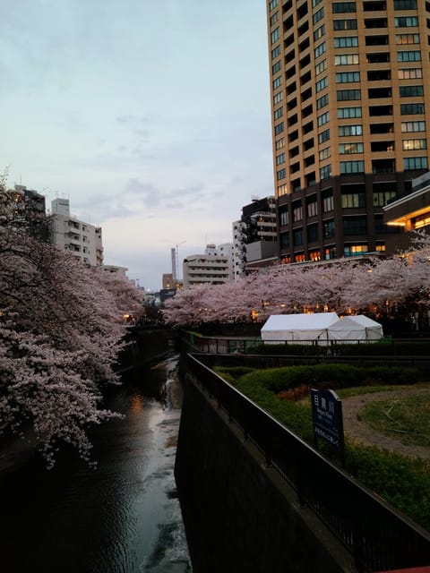 いいお天気ぃ🌞

先日東京の桜🌸が満開だと聞き
桜並木🌸を歩きに❤️
めっちゃ幸せ😃💕な気分になれましたぁ💋💋💋

心も