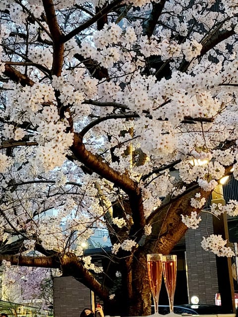 いいお天気ぃ🌞

先日東京の桜🌸が満開だと聞き
桜並木🌸を歩きに❤️
めっちゃ幸せ😃💕な気分になれましたぁ💋💋💋

心も