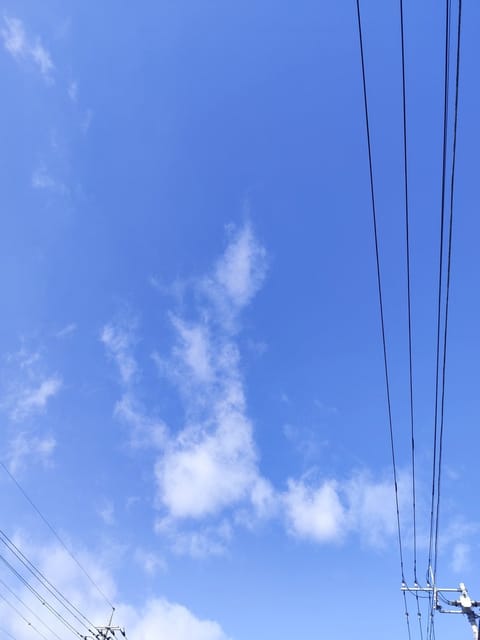 寒いけどいい天気☀