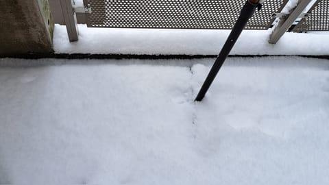 こんばんは🌙
今日は調布ルームに⏰〜26時です｡

今日の夕方に家から出たら
まだ道に雪が残っていてびっくり👀
あんなに