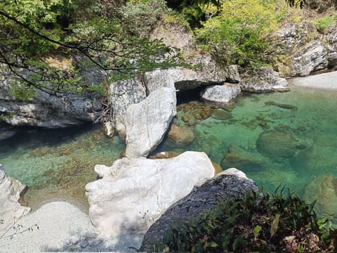 お休みもらって淀川ブルー
見に行きました🥺✌🏻💞

高知の山は凄い笑😂
今まで行った県の中で
1番山多いかも🥺⛰️

今