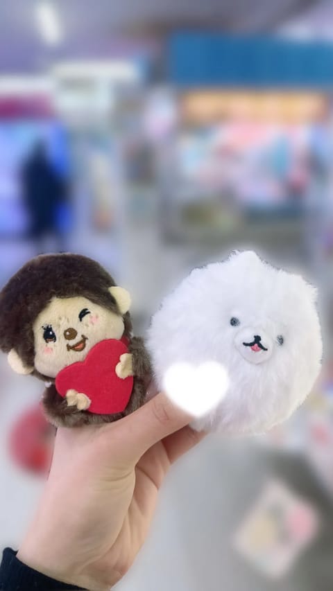 UFOキャッチャーでいっぱい可愛い子たち取ってきたんだよー！！😳😳
大好きなシマエナガちゃんも取れたんだよー！！🐥‎🤍
