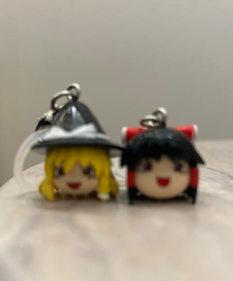 ともだちとおそろい🫪🫪♡笑