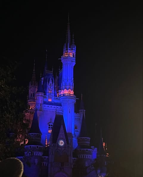 おはよー！

この前のお休みはディズニー行ったよ〜〜🏰🎀
かえは、ランド派なんだけど、みんなはどっち派？？？·͜· ꕤ︎
