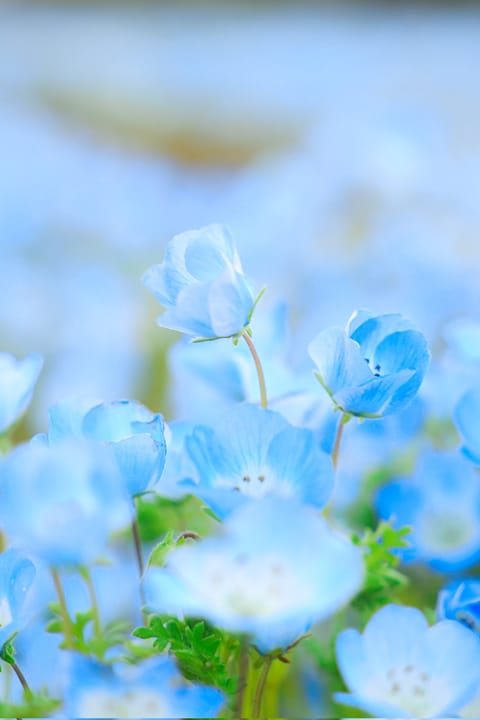 気づけばもう3月ですね🌸

新生活に向けての準備を頑張っている方、
そして繁忙期で踏ん張りどきな方、
本当にお疲れさまで